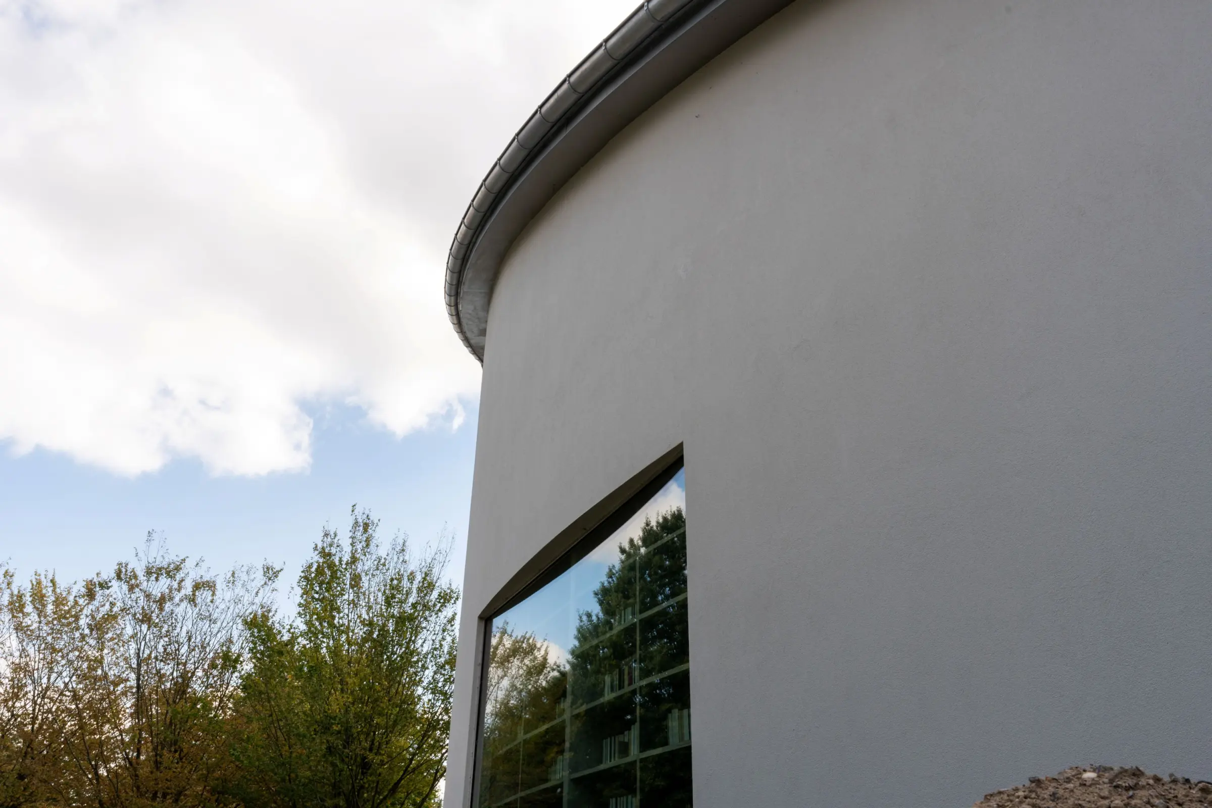 sierpleister close up