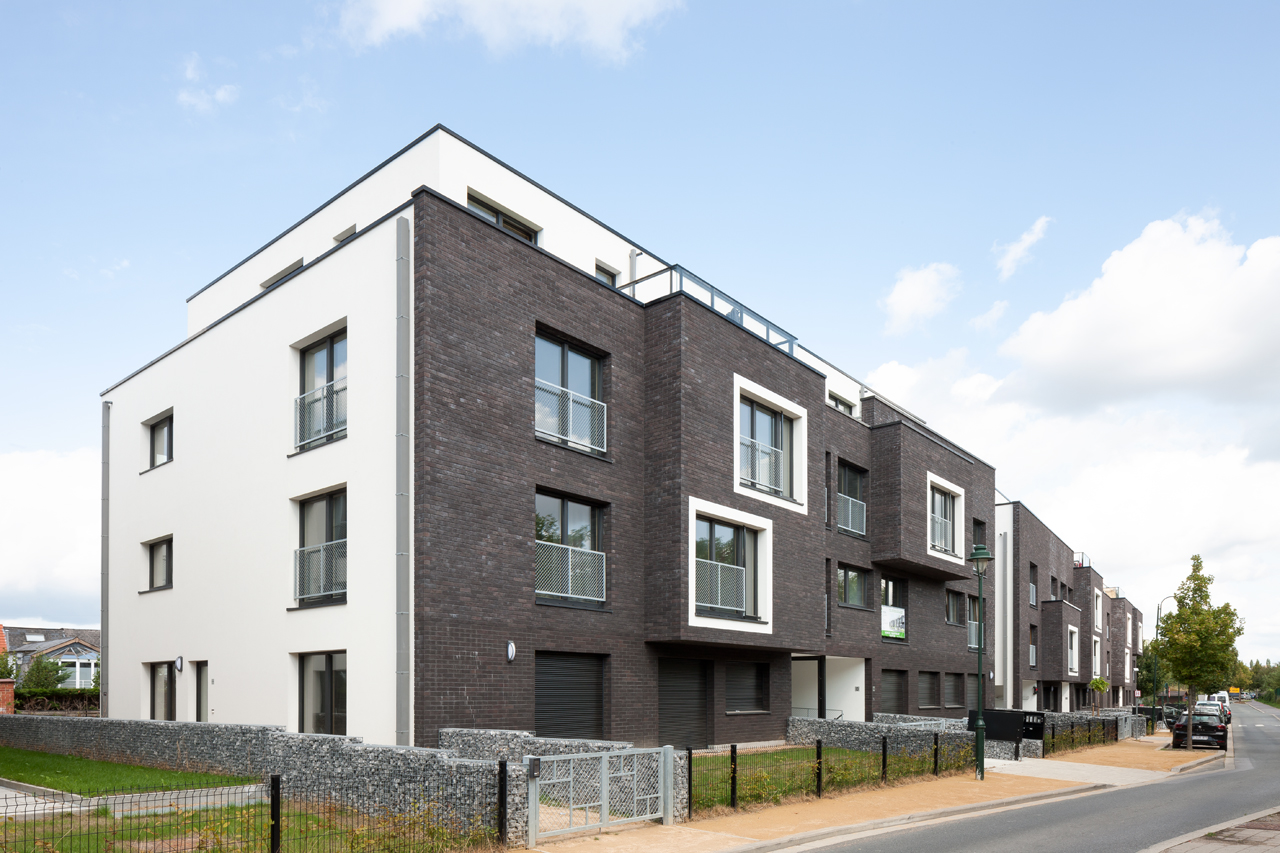 gevel zwarte steenstrippen met witte sierpleister rond ramen