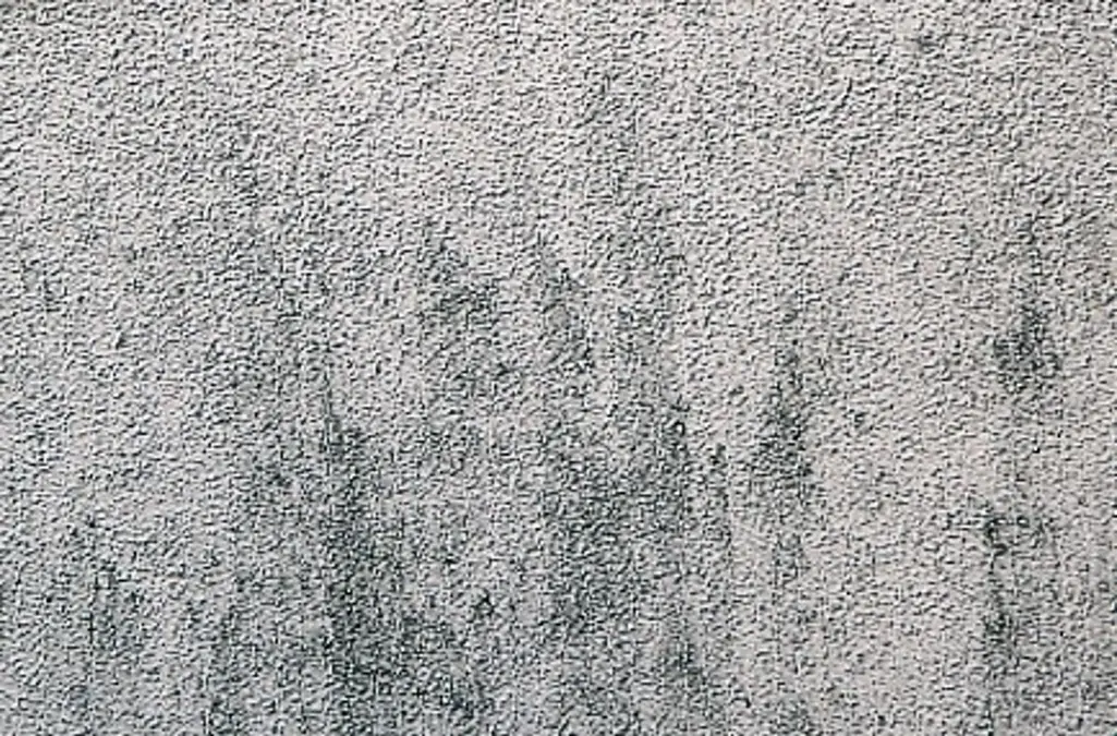 sierpleister gevel vuil