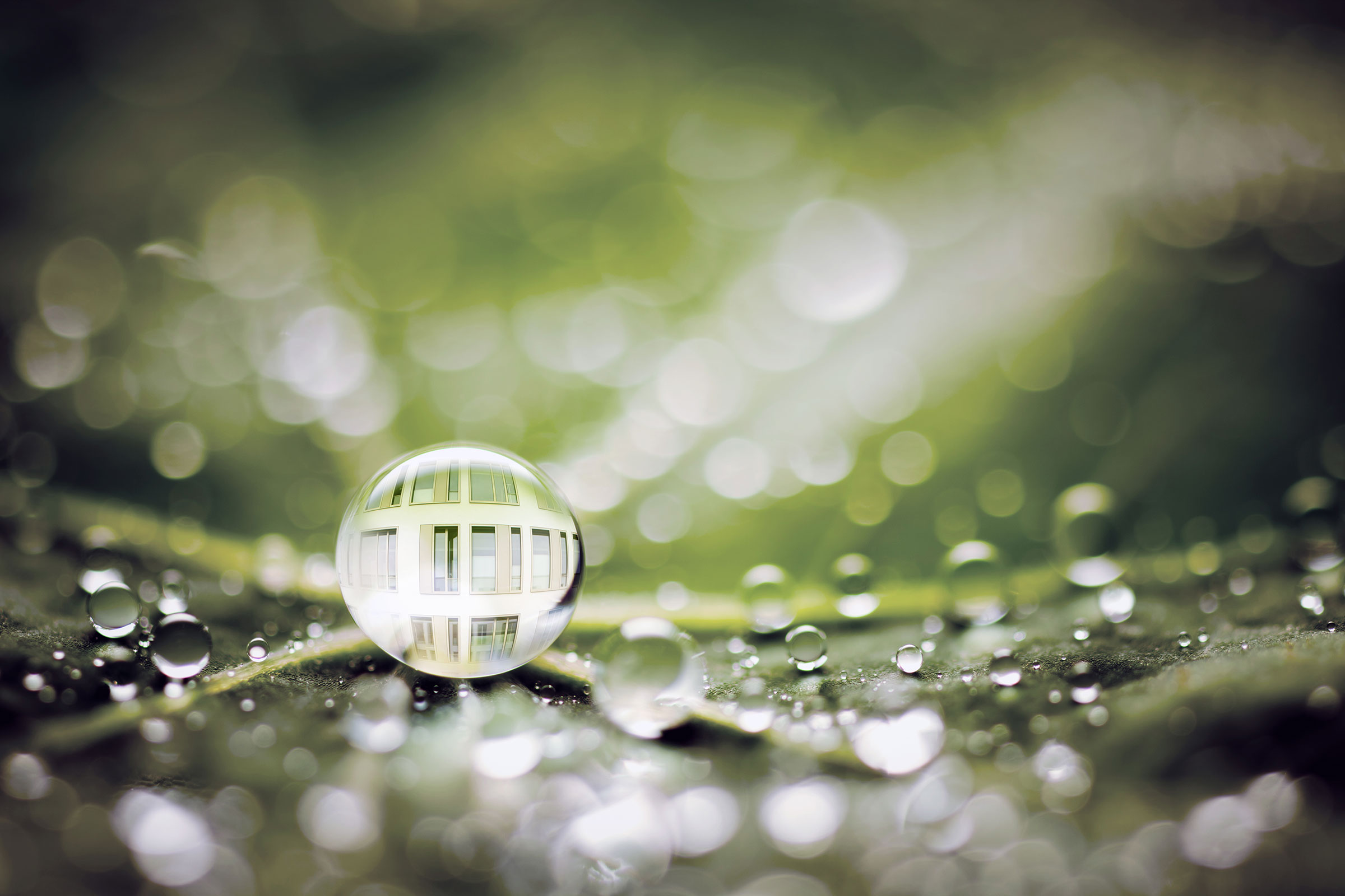 Bionica bij Sto: waterdruppels op een groen blad, bionische gevelverven